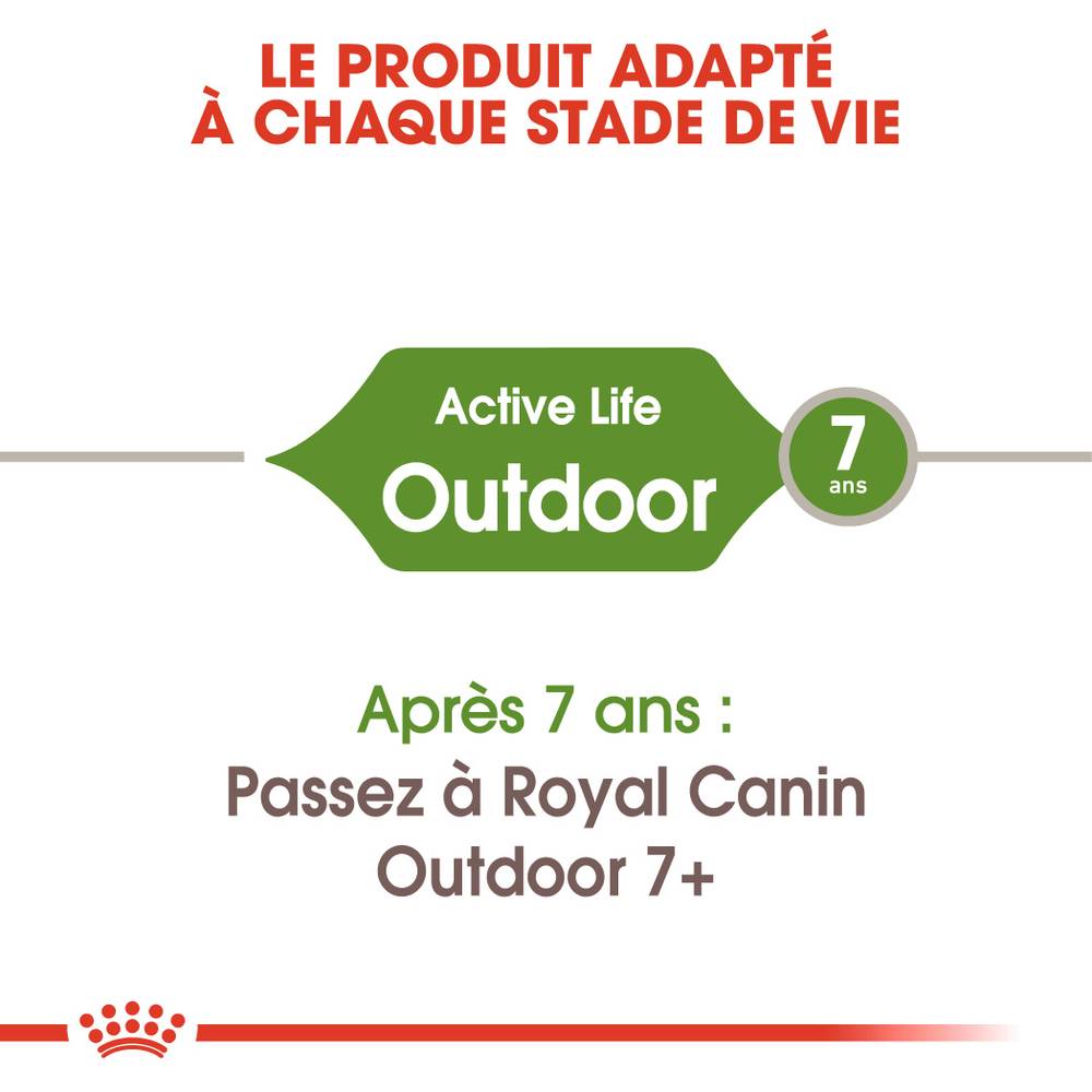 Royal Canin - Croquettes chat Outdoor - ROYAL CANIN - Image 6