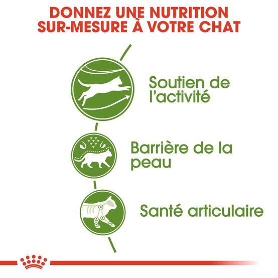 Royal Canin - Croquettes pour chat ROYAL CANIN - Image 4