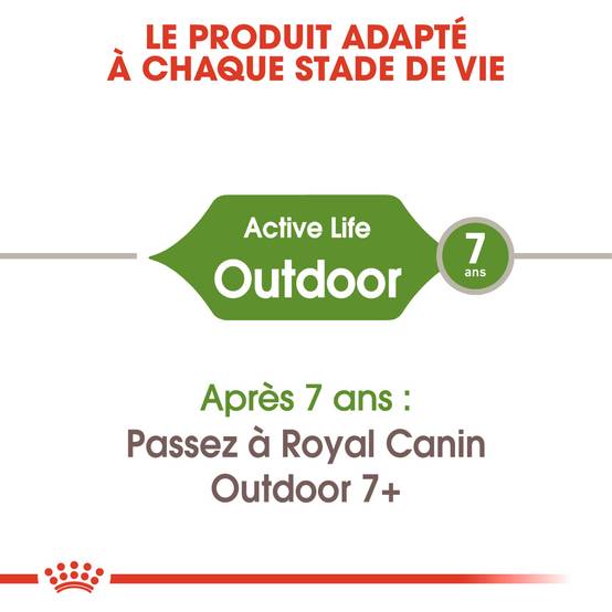 Royal Canin - Croquettes pour chat ROYAL CANIN - Image 3