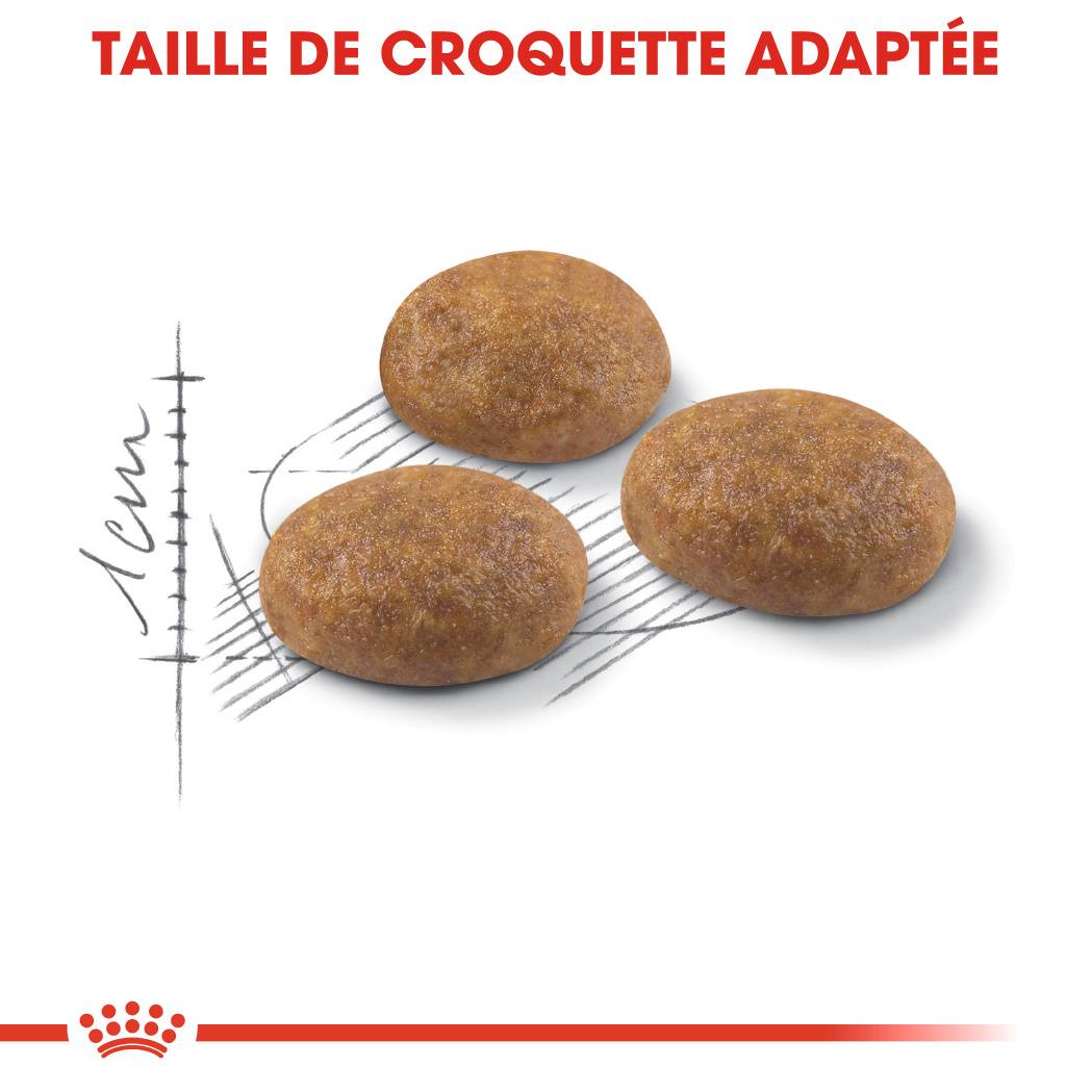 Royal Canin - Croquettes pour chat ROYAL CANIN - Image 2