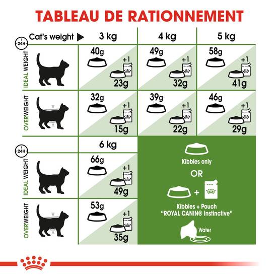 Royal Canin - Croquettes pour chat ROYAL CANIN - Image 5