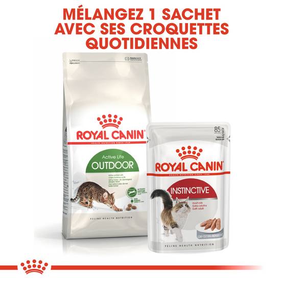 Royal Canin - Croquettes chat extérieur adulte - ROYAL CANIN - Image 5