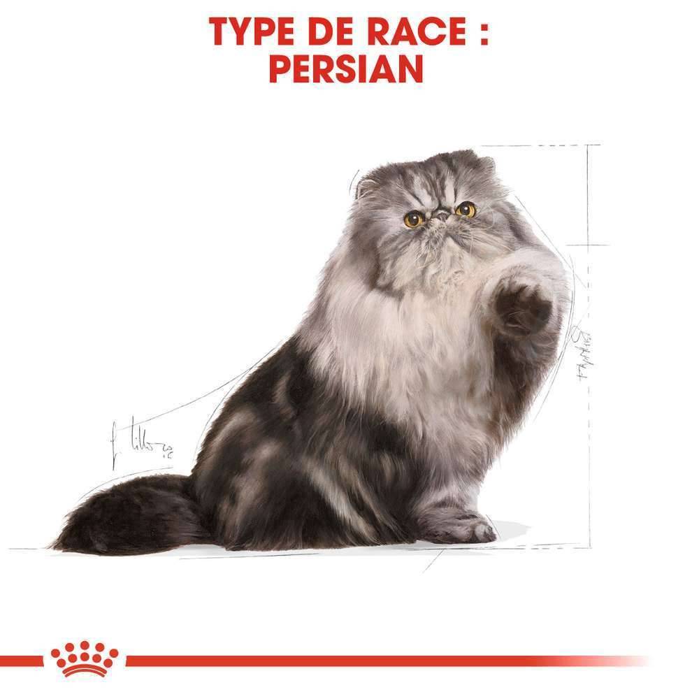 Royal Canin - Croquettes chat adulte Persian - ROYAL CANIN - Image 3