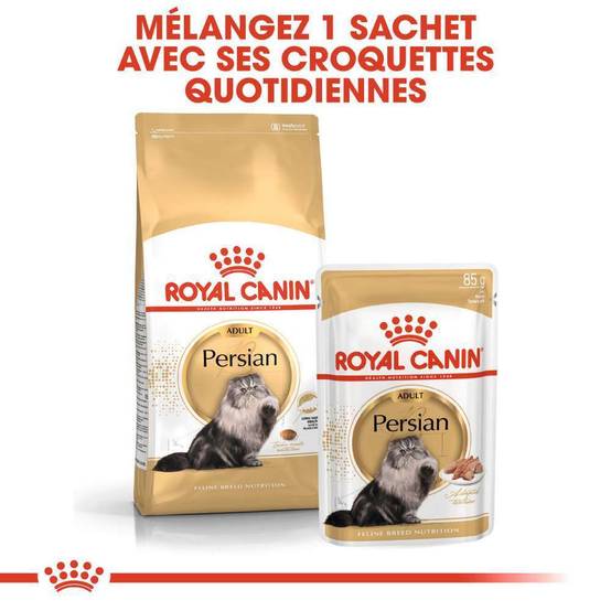 Royal Canin - Croquettes chat adulte Persian - ROYAL CANIN - Image 2