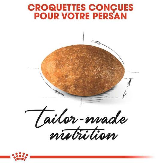 Royal Canin - Croquettes chat adulte Persian - ROYAL CANIN - Image 4