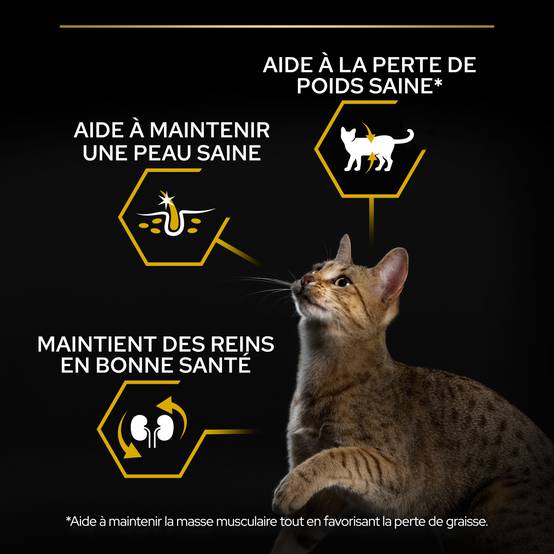 Purina Pro Plan - Croquettes chat Adulte Light 3 kg - PRO PLAN - Image 4