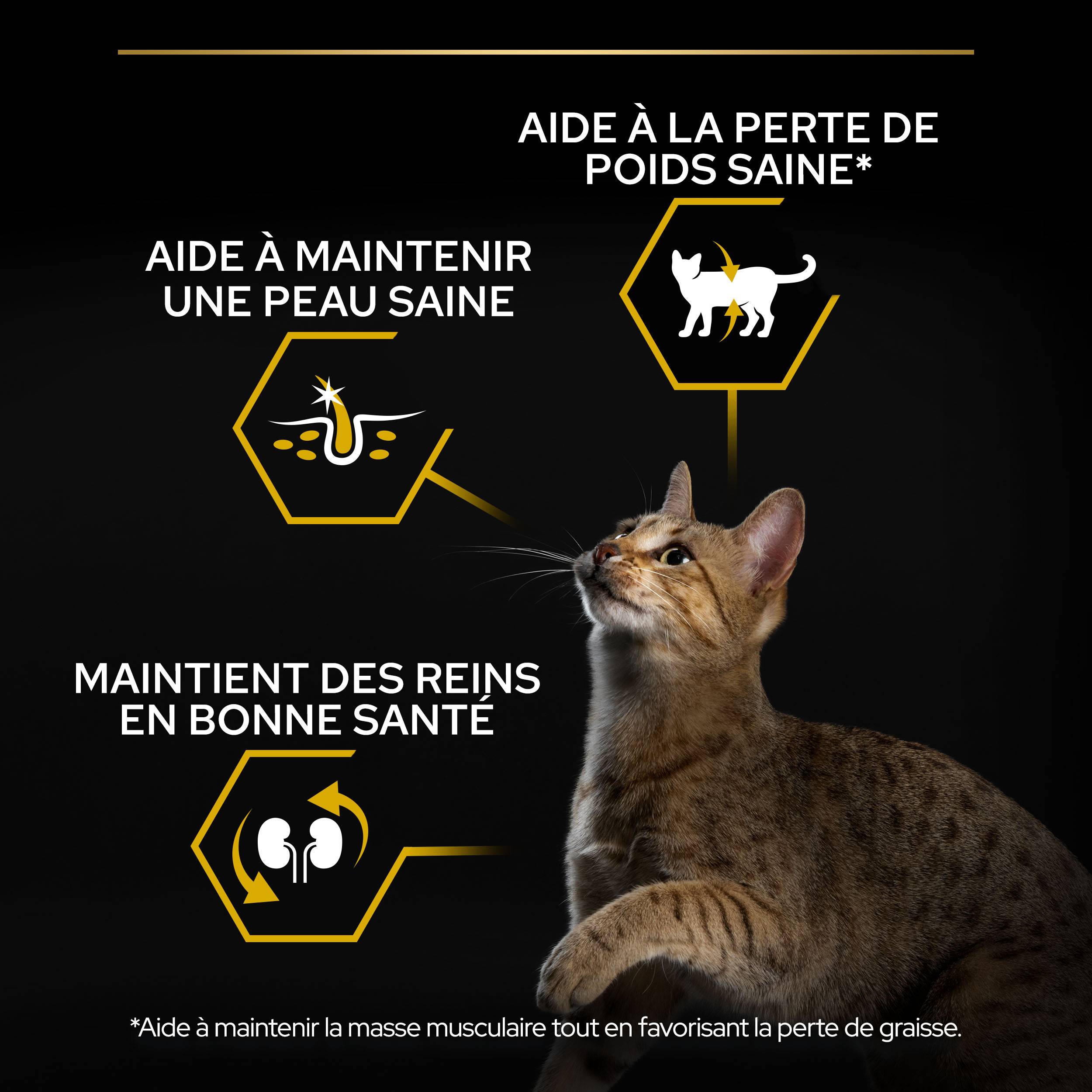 Purina Pro Plan - Croquettes chat Adulte Light 3 kg - PRO PLAN - Image 4