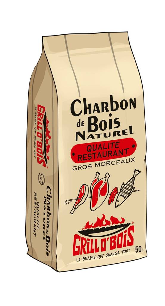 Grill O Bois Charbon De Bois Pour Barbecue 50 L Gamm Vert grill-o-bois-charbon-de-bois-pour-barbecue-50-l-gamm-vert
