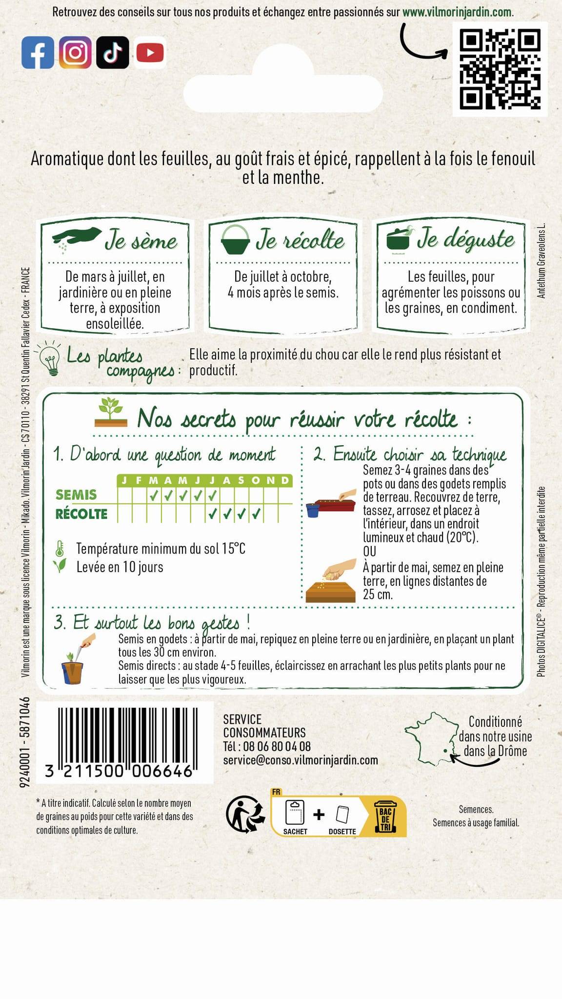 Vilmorin - Aneth officinal série 2 sachet graines 5 g - Vilmorin - Image 3