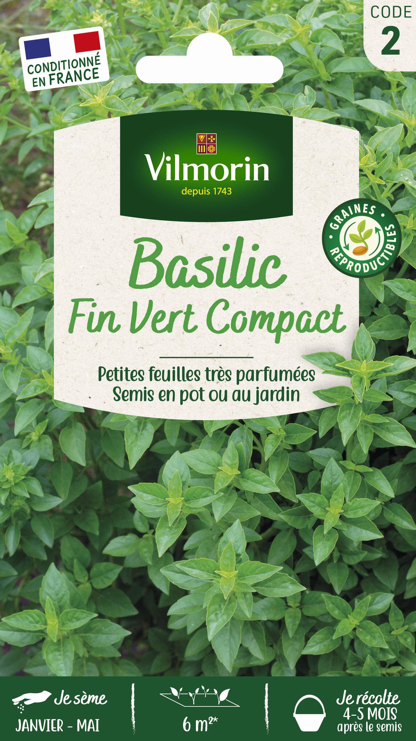 Vilmorin - Basilic fin vert compact série 2 sachet graines 2 g - Vilmorin - Image 2