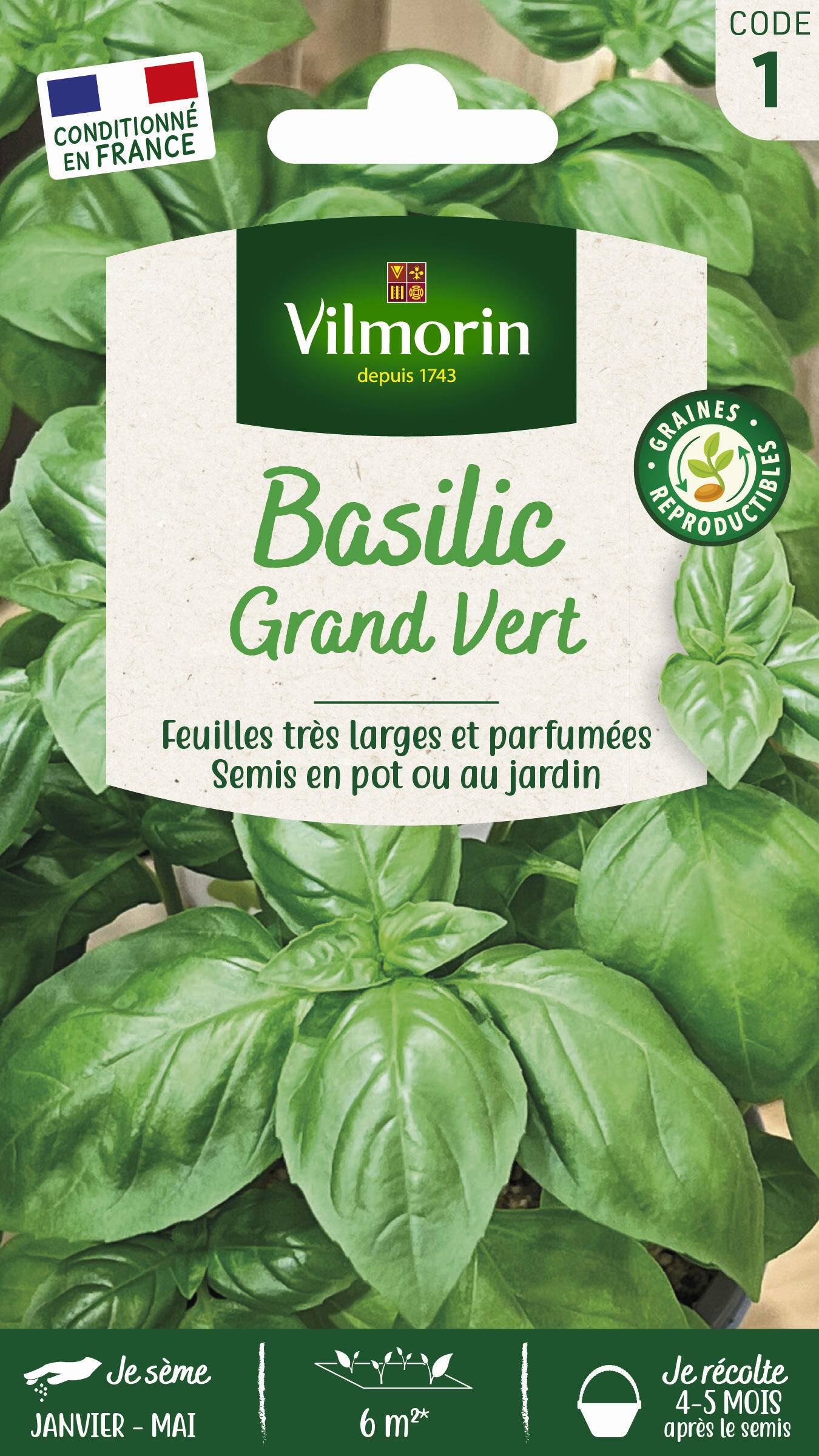 Vilmorin - Basilic grand vert série 1 sachet graines 2 g - Vilmorin - Image 1