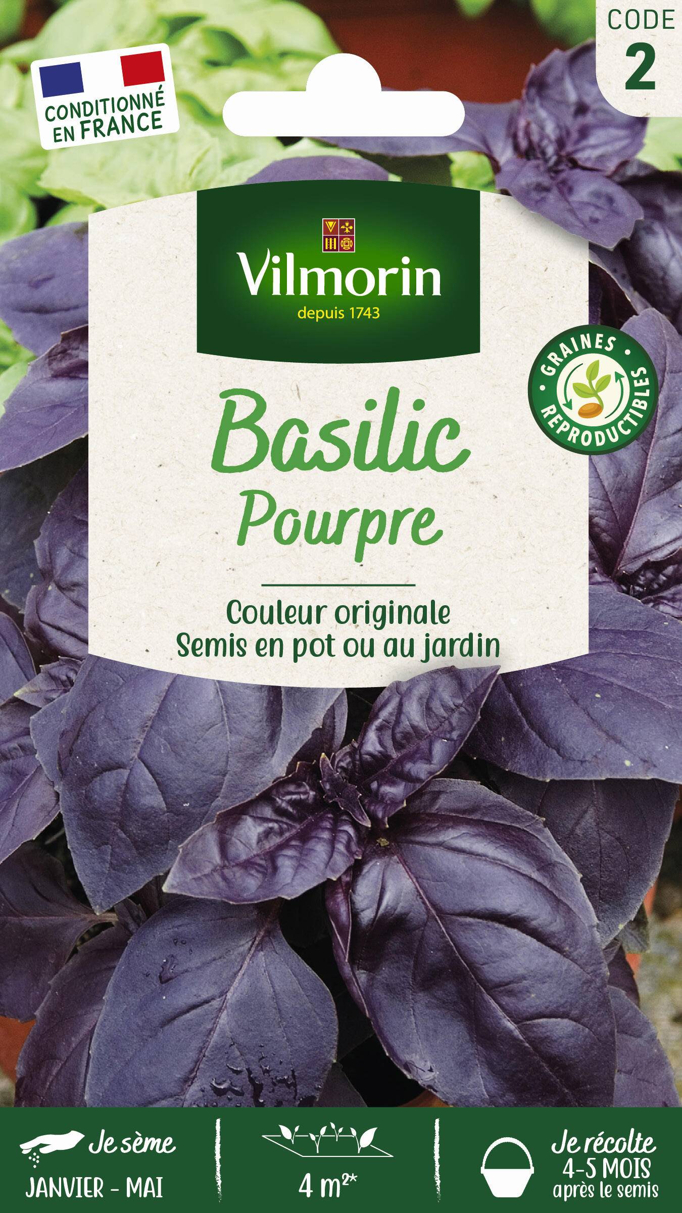 Vilmorin - Basilic pourpre série 2 sachet graines 1 g - Vilmorin - Image 1