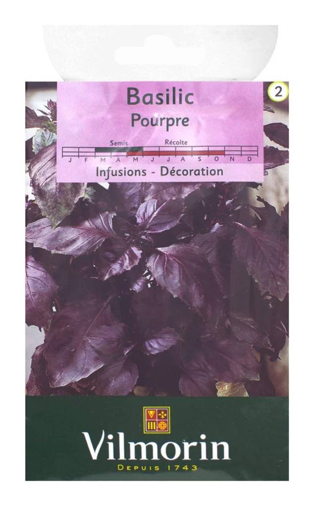 Vilmorin - Basilic pourpre série 2 sachet graines 1 g - Vilmorin - Image 4