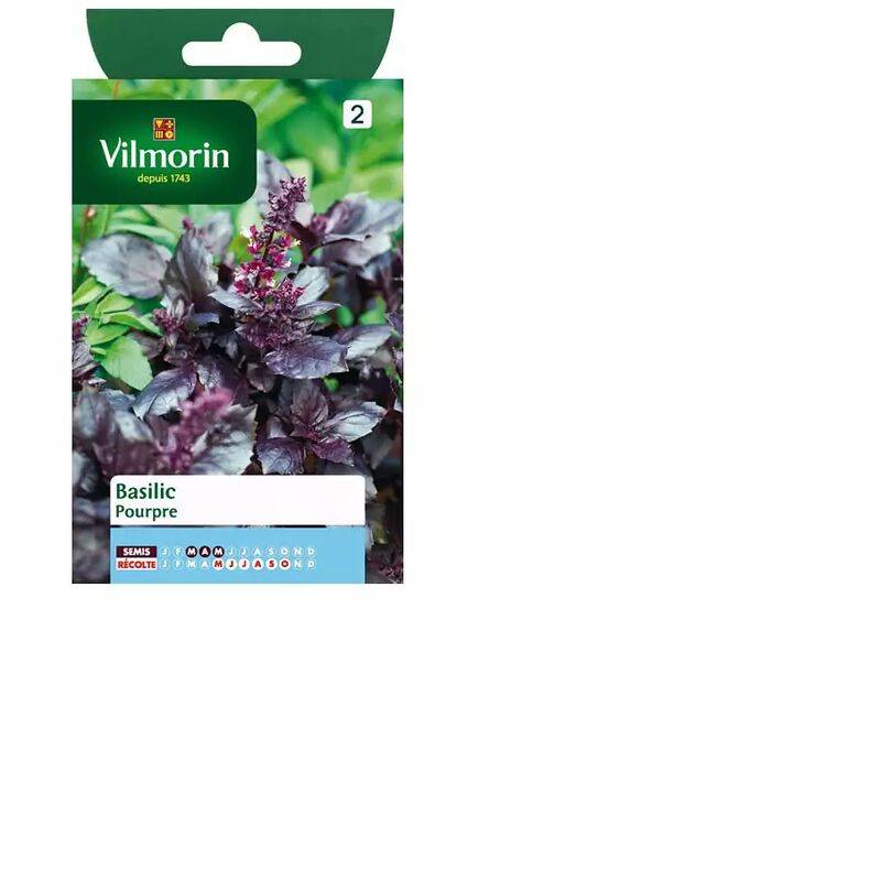 Vilmorin - Basilic pourpre série 2 sachet graines 1 g - Vilmorin - Image 1