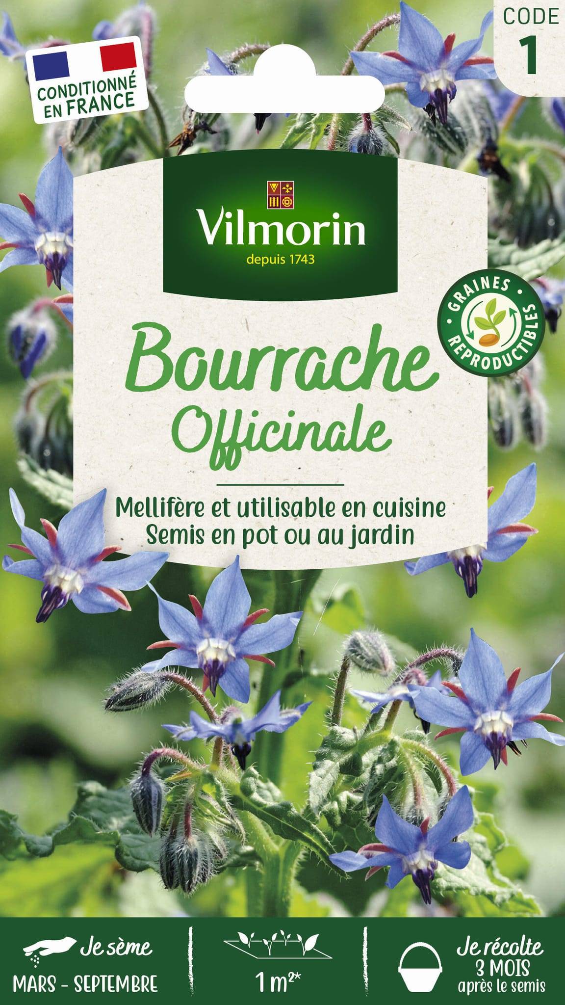 Vilmorin - Bourrache officinale série 1 sachet graines 1 g - Vilmorin - Image 3