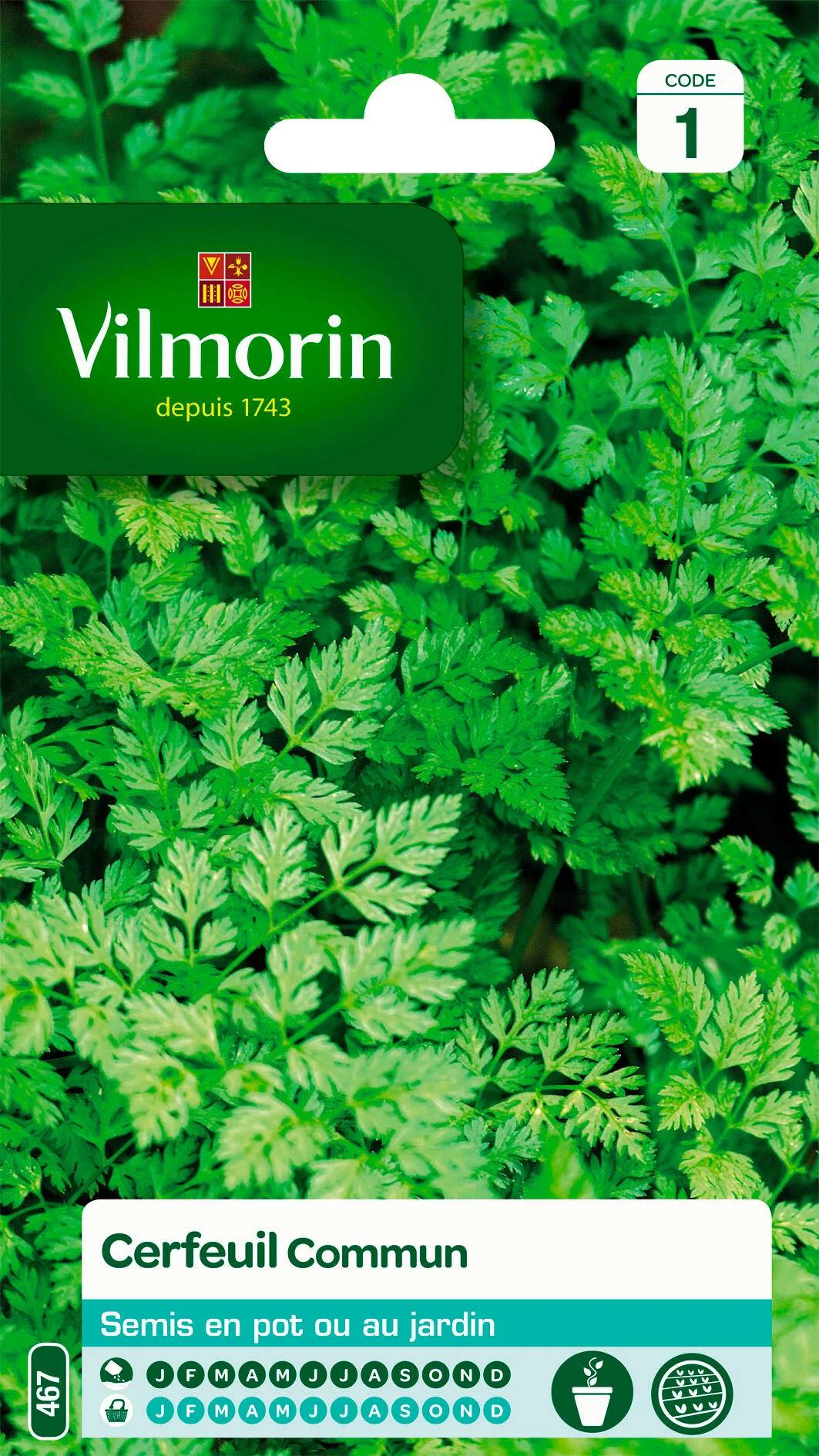 Vilmorin - Cerfeuil commun série 1 sachet graines 2,5 g - Vilmorin - Image 1