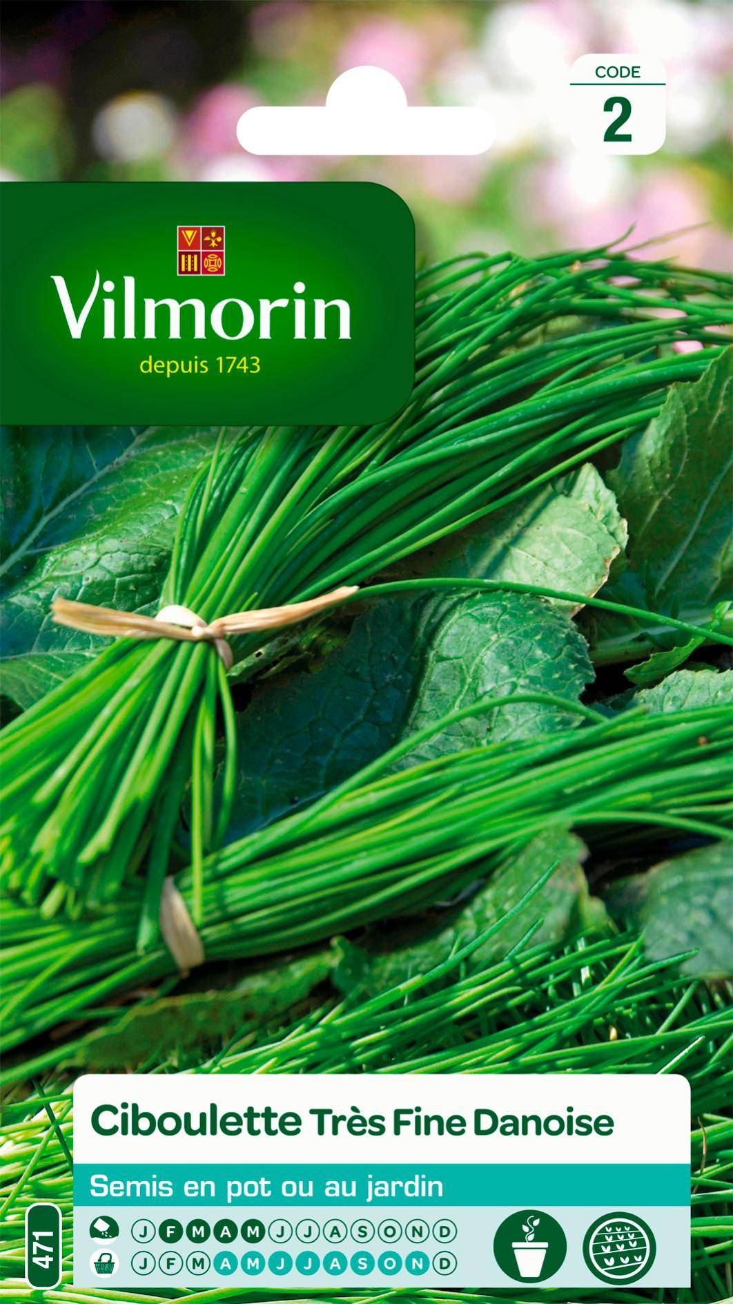 Vilmorin - Ciboulette très fine danoise série 2 sachet graines 1,5 g - Vilmorin - Image 1