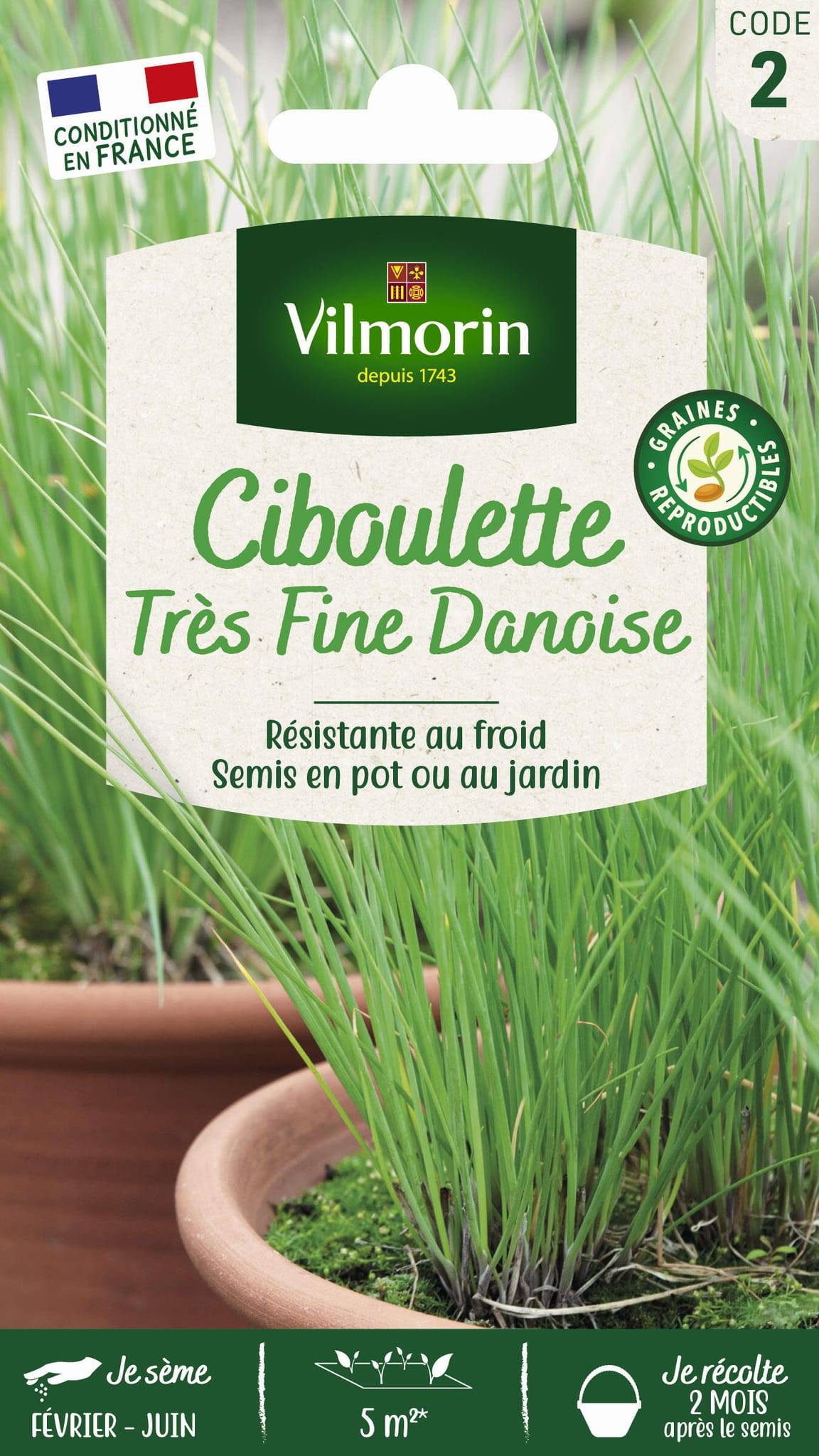 Vilmorin - Ciboulette très fine danoise série 2 sachet graines 1,5 g - Vilmorin - Image 4