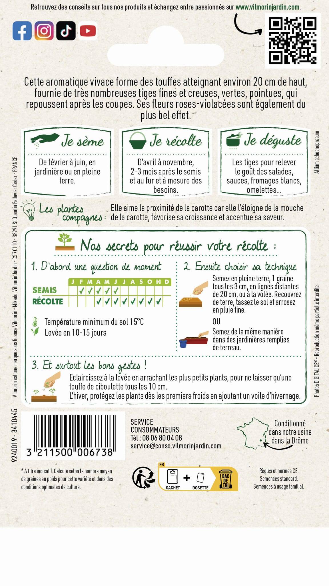Vilmorin - Ciboulette très fine danoise série 2 sachet graines 1,5 g - Vilmorin - Image 5