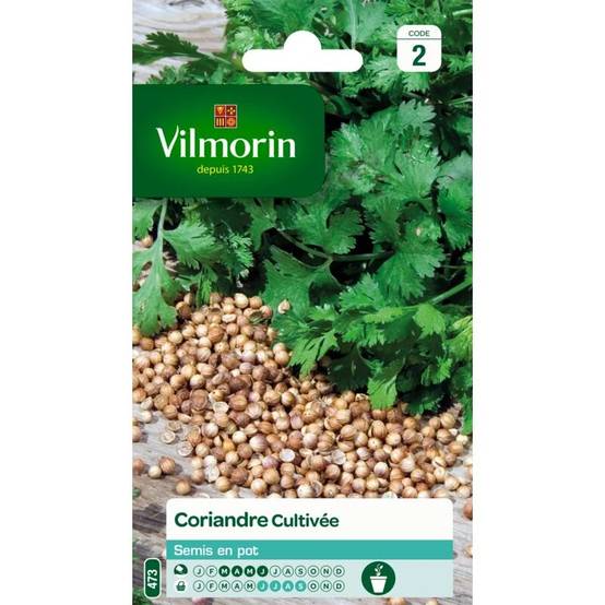 Vilmorin - Coriandre cultivée série 2 sachet graines 4 g - Vilmorin - Image 1