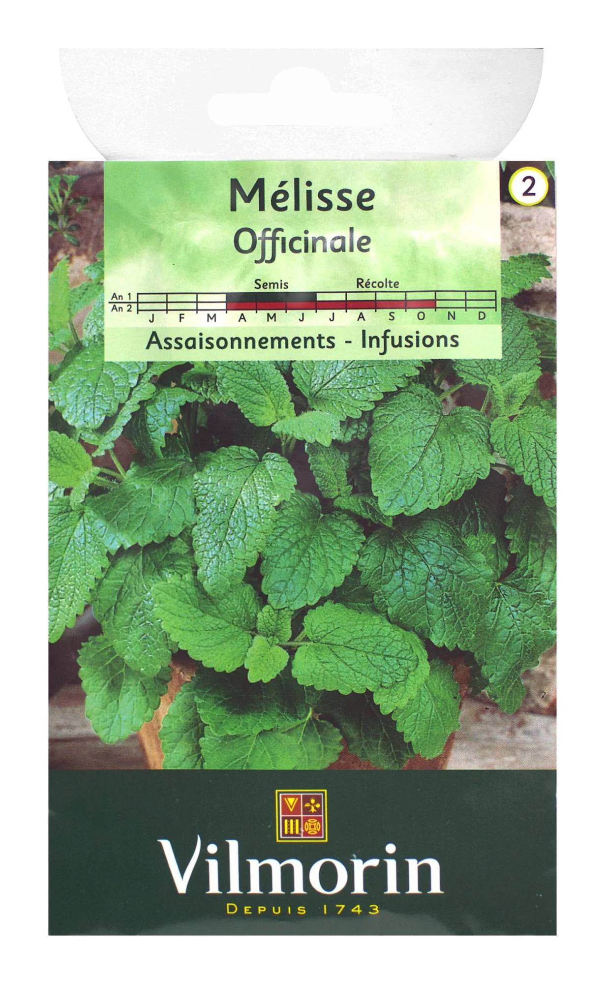 Vilmorin - Mélisse officinale série 2 sachet graines 1,5 g - Vilmorin - Image 2