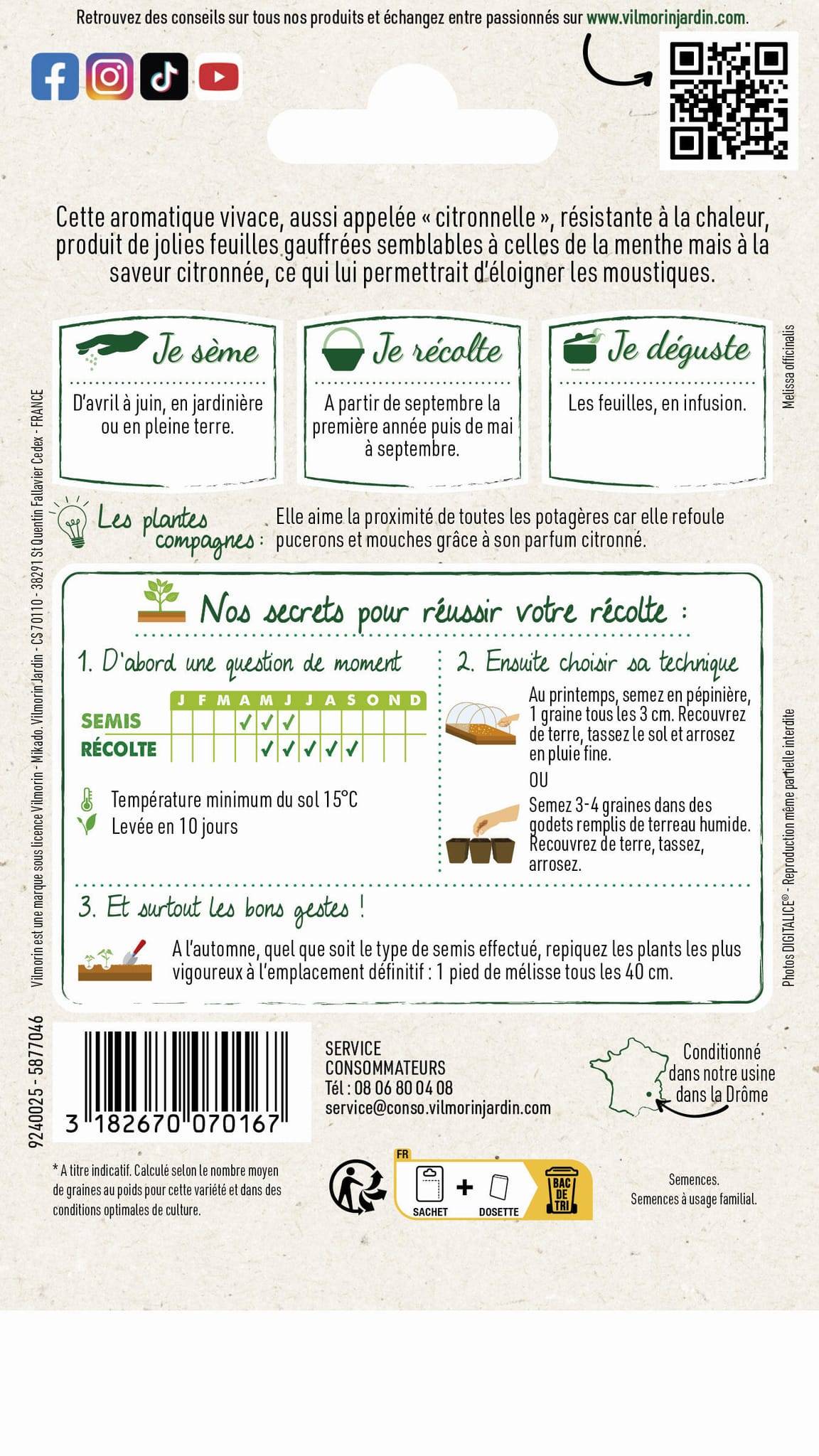 Vilmorin - Mélisse officinale série 2 sachet graines 1,5 g - Vilmorin - Image 5