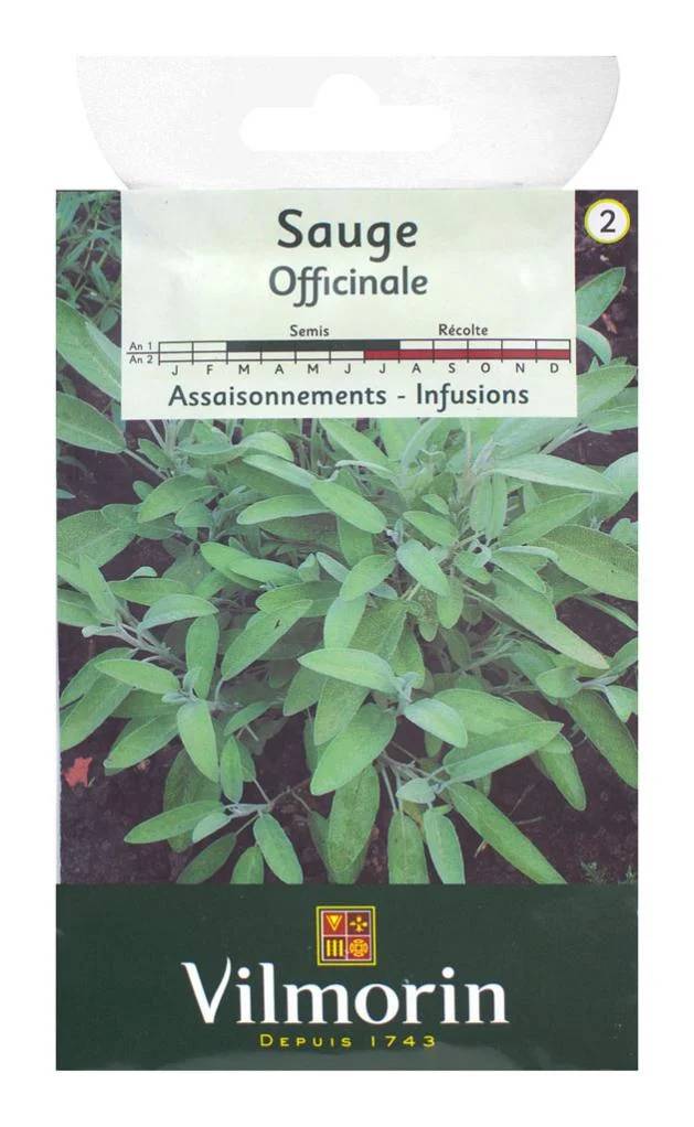 Vilmorin - Sauge officinale série 2 sachet graines 2 g - Vilmorin - Image 5