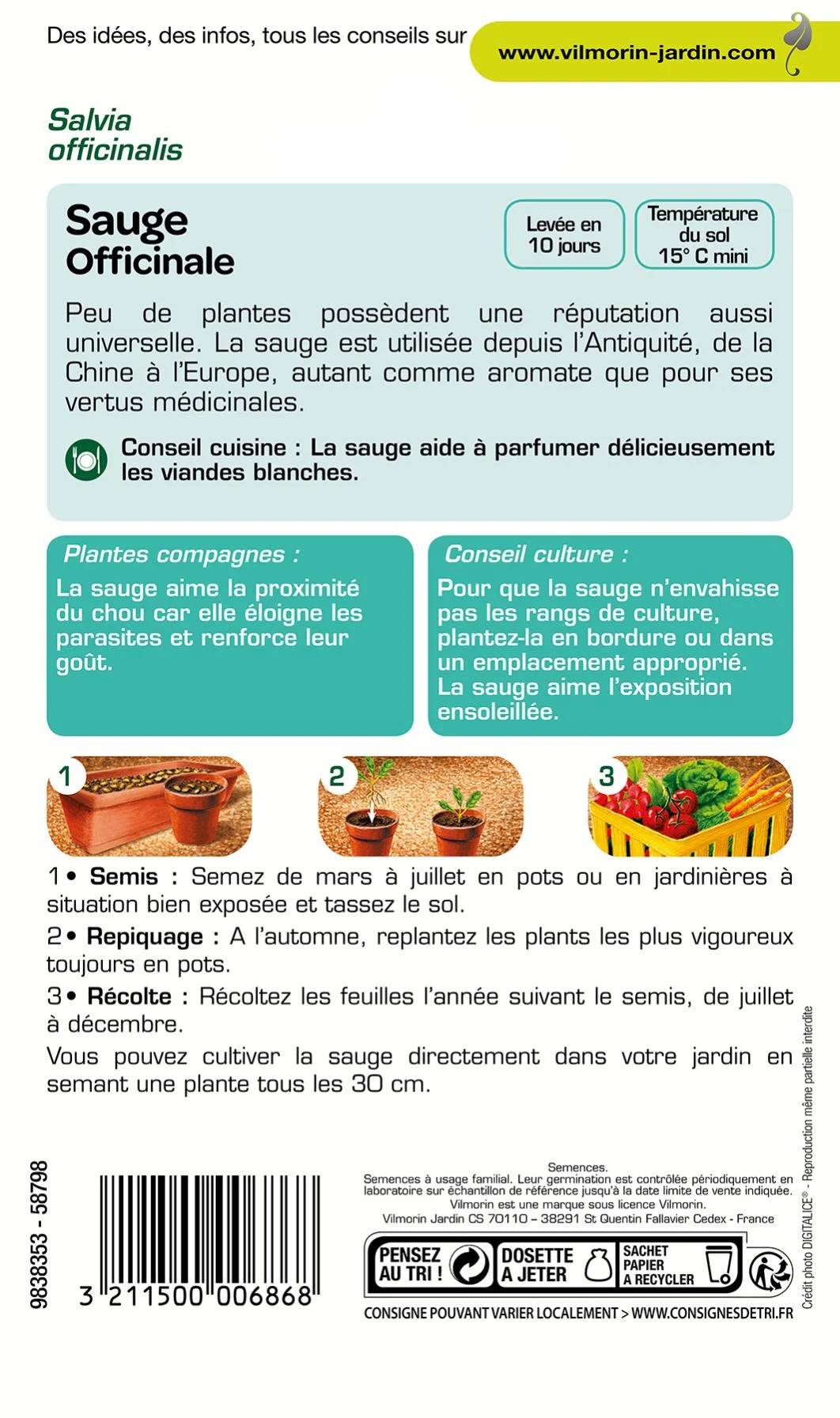 Vilmorin - Sauge officinale série 2 sachet graines 2 g - Vilmorin - Image 4