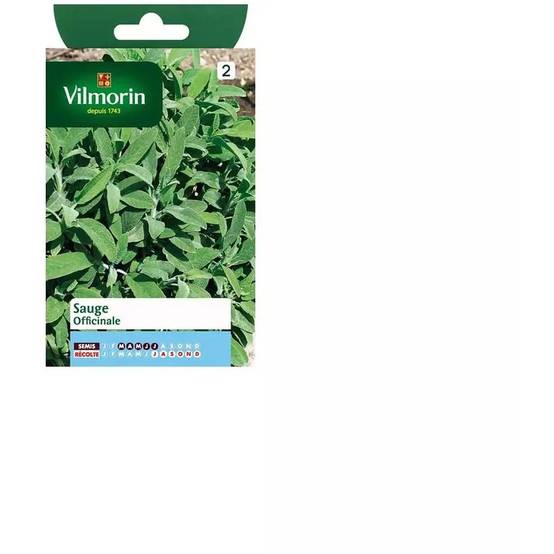 Vilmorin - Sauge officinale série 2 sachet graines 2 g - Vilmorin - Image 1