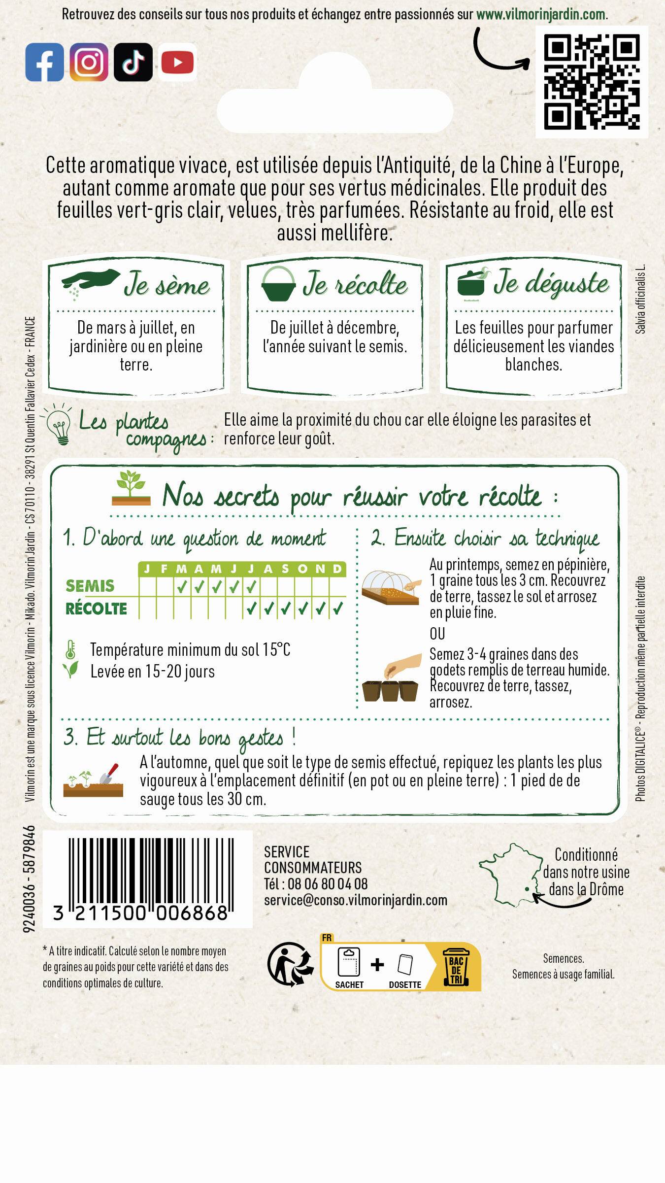 Vilmorin - Sauge officinale série 2 sachet graines 2 g - Vilmorin - Image 3