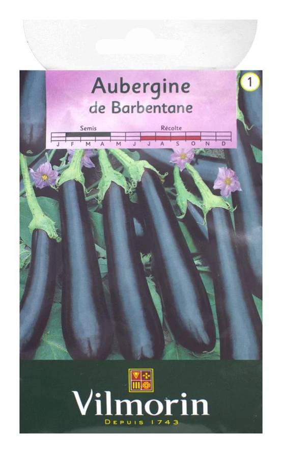 Vilmorin - Aubergine de Barbentane série 1 sachet graines 1,5 g - Vilmorin - Image 3