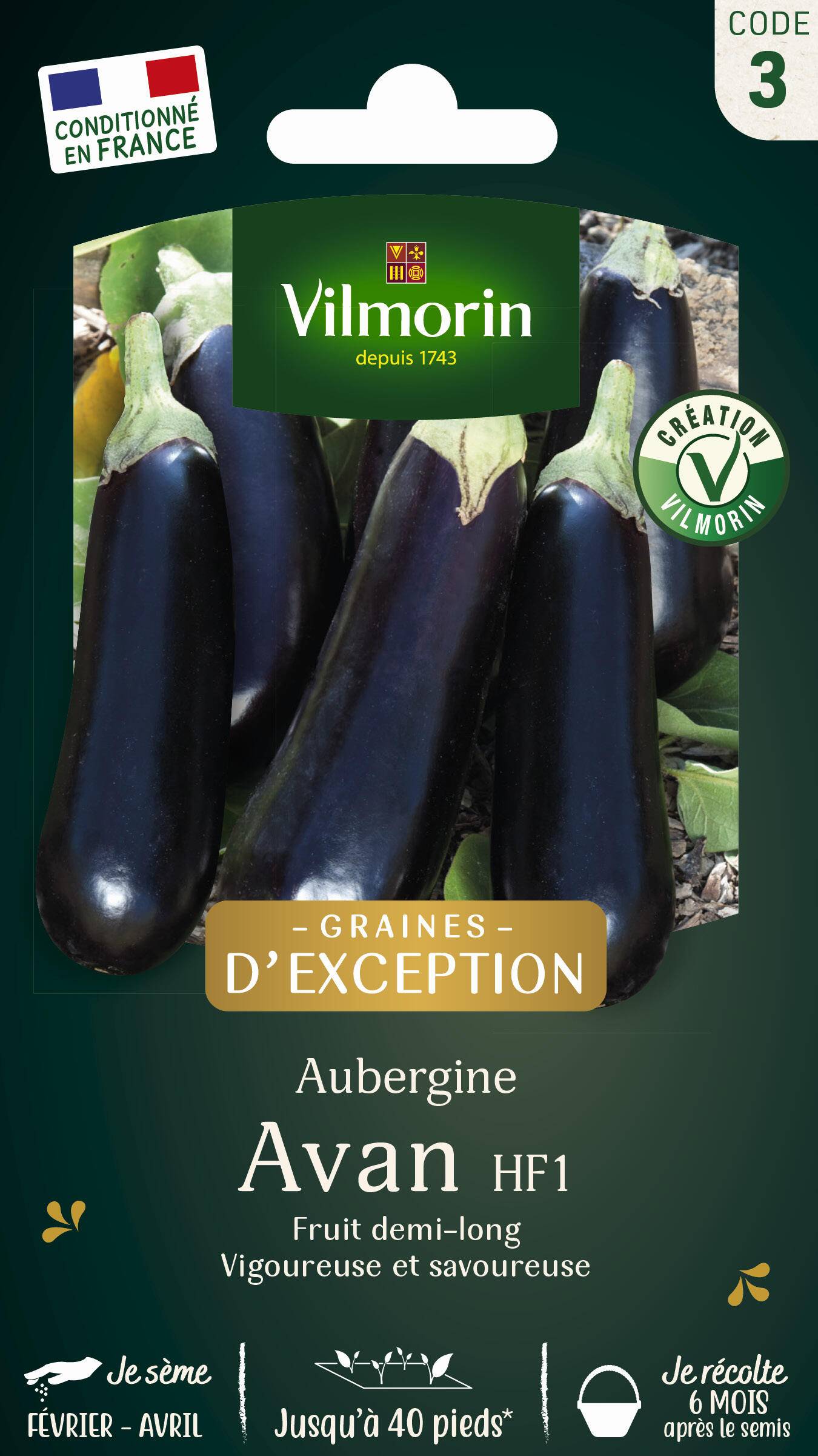 Vilmorin - Aubergine Avan hf1 création série 3 sachet graines 0,4 g - Vilmorin - Image 1