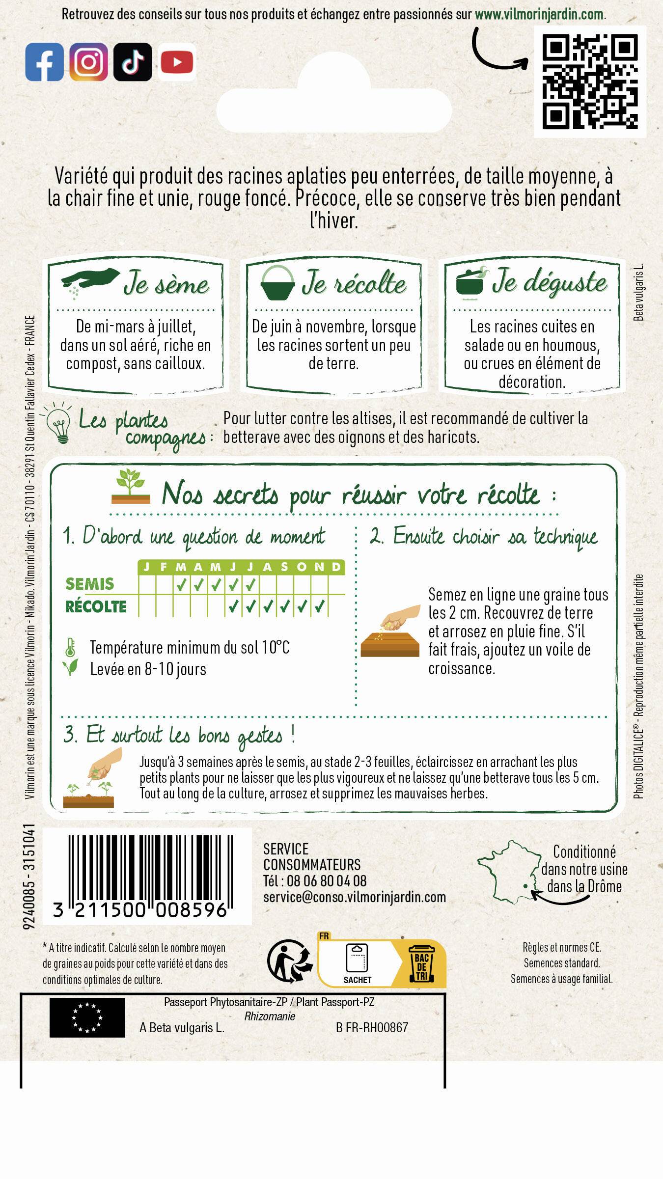 Vilmorin - Betterave potagère d'Egypte série 1 sachet graines 4 g - Vilmorin - Image 3