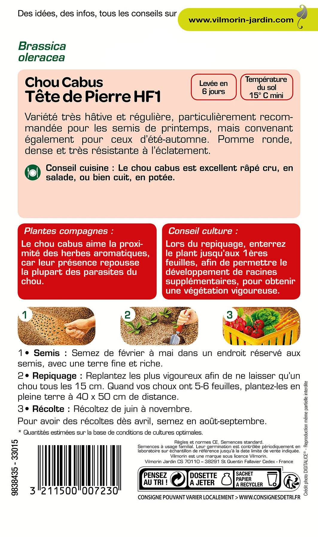 Vilmorin - Chou Blanc Tête de Pierre HF1 serie 3 sachet graines 0,8 g - Vilmorin - Image 3