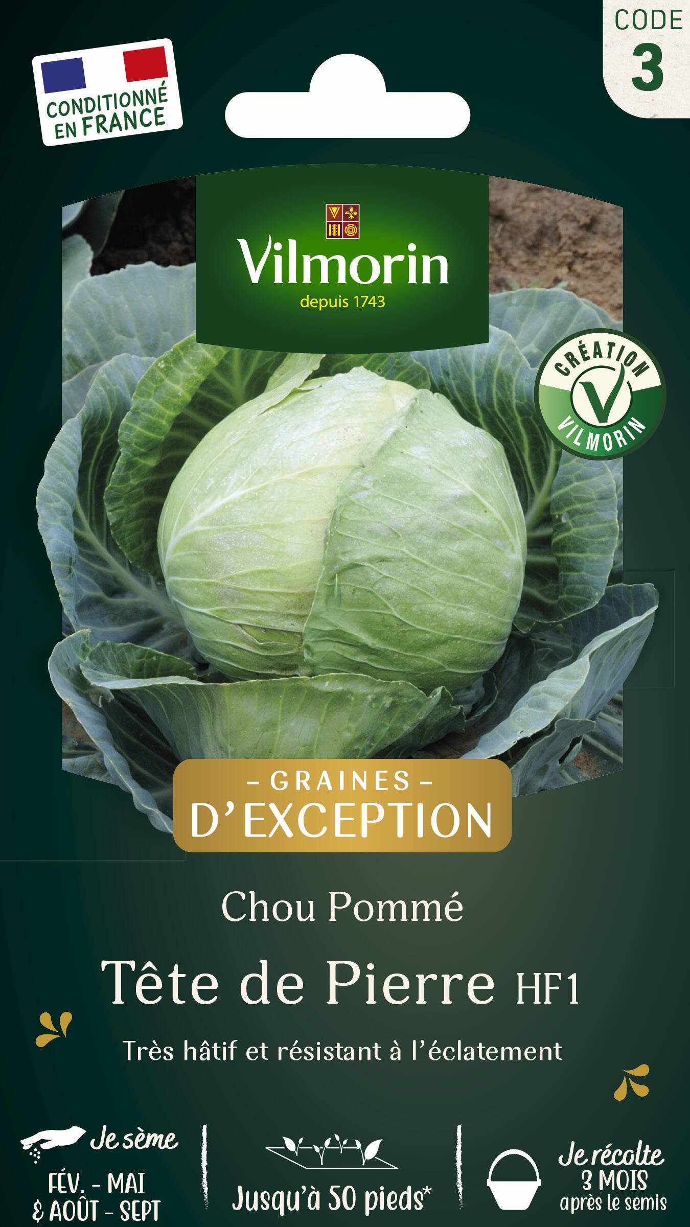 Vilmorin - Chou Blanc Tête de Pierre HF1 serie 3 sachet graines 0,8 g - Vilmorin - Image 2