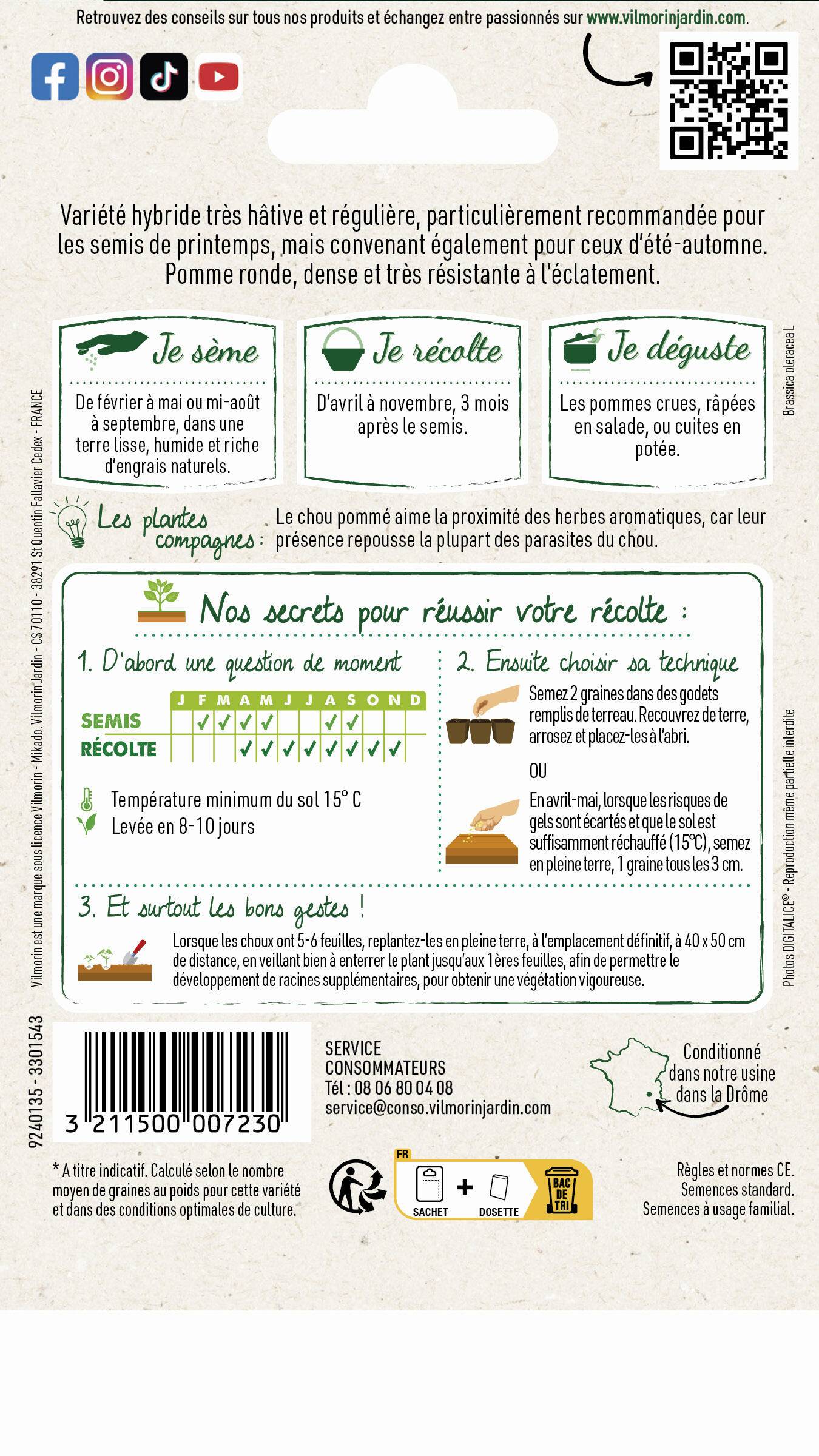 Vilmorin - Chou Blanc Tête de Pierre HF1 serie 3 sachet graines 0,8 g - Vilmorin - Image 4