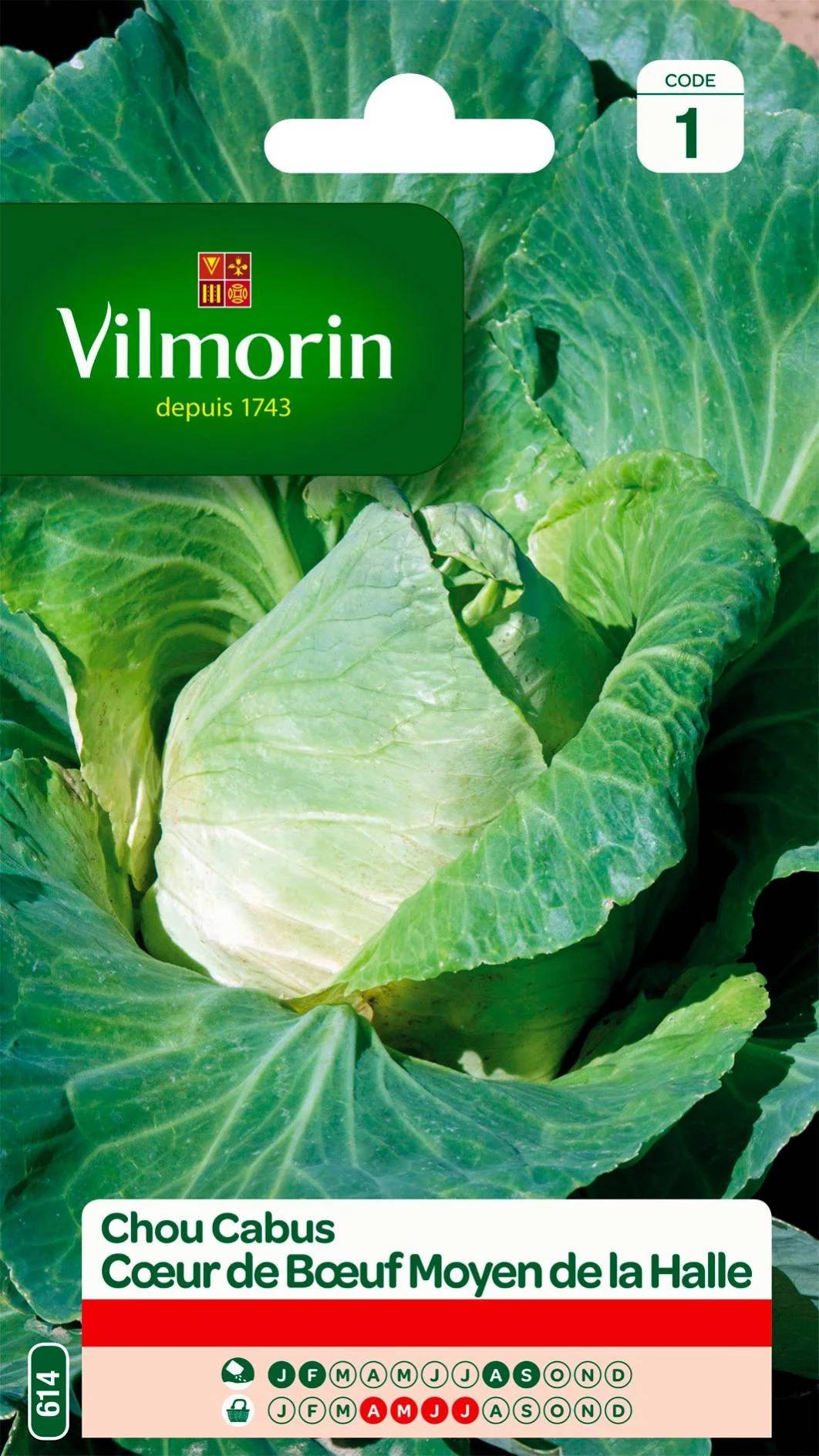 Vilmorin - Chou pommé cœur de bœuf moyen de la halle série 1 sachet graines 2 g - Vilmorin - Image 1