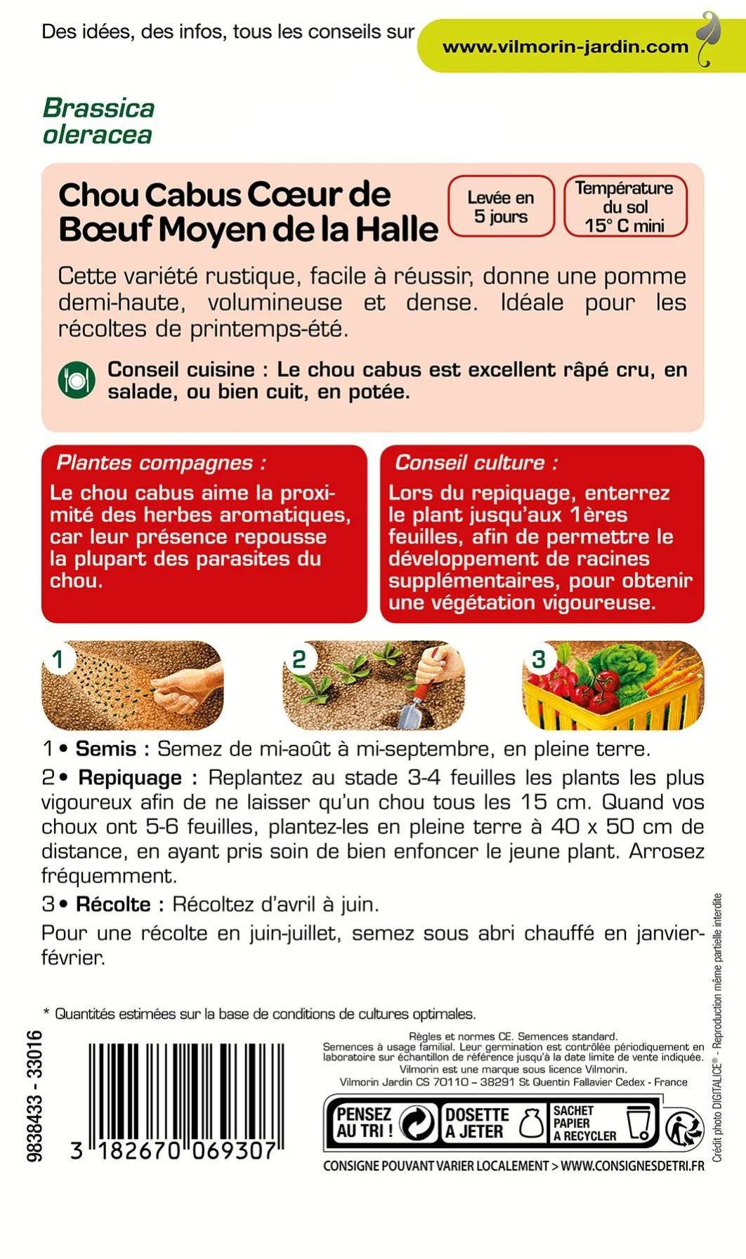 Vilmorin - Chou pommé cœur de bœuf moyen de la halle série 1 sachet graines 2 g - Vilmorin - Image 3