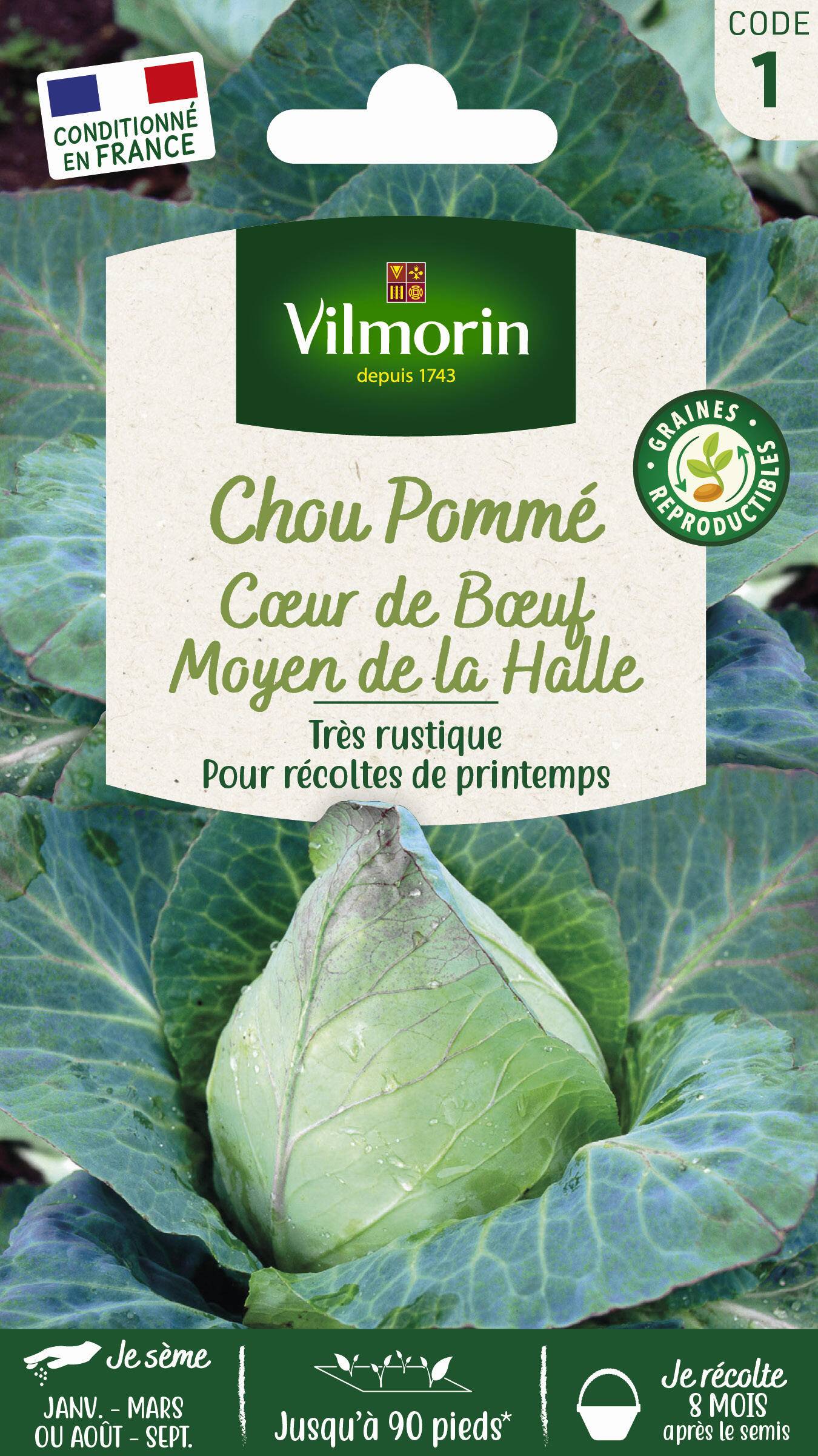 Vilmorin - Chou pommé cœur de bœuf moyen de la halle série 1 sachet graines 2 g - Vilmorin - Image 2