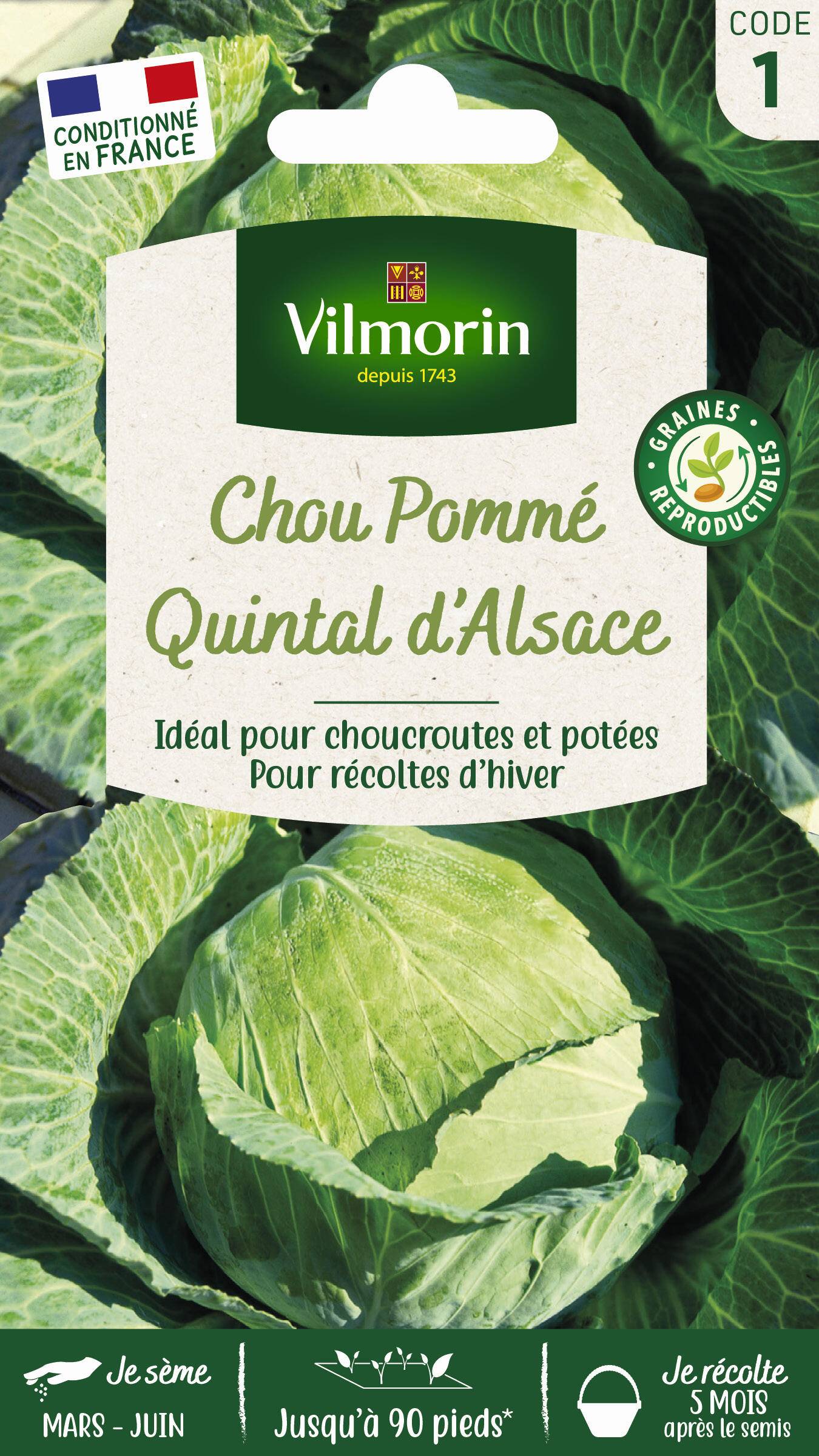 Vilmorin - Chou pommé quintal d'Alsace série 1 sachet graines 2 g - Vilmorin - Image 1
