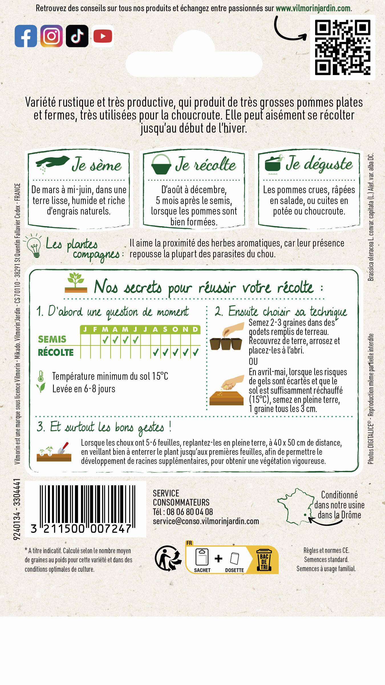 Vilmorin - Chou pommé quintal d'Alsace série 1 sachet graines 2 g - Vilmorin - Image 4
