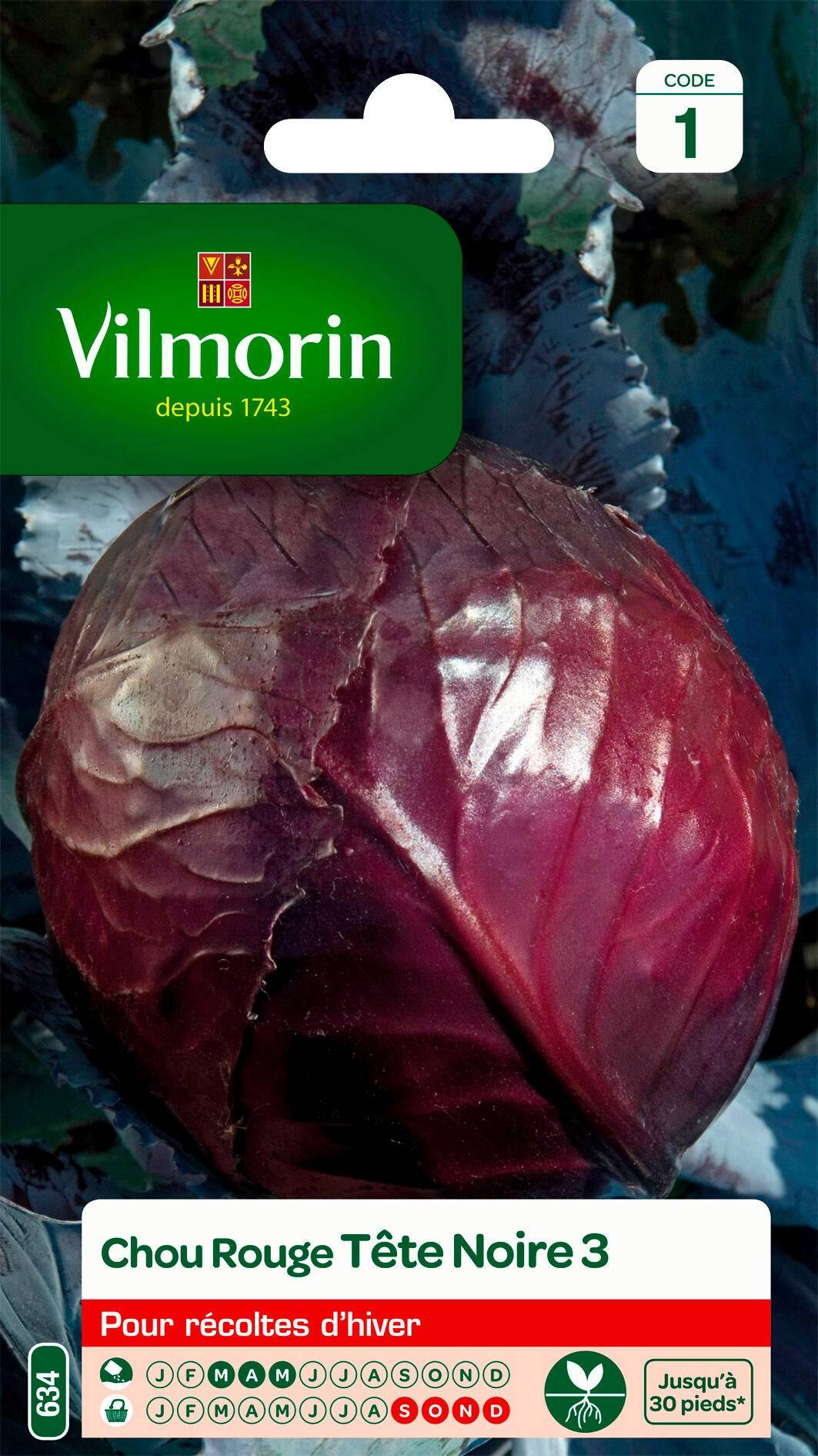 Vilmorin - Chou rouge tête noire 3 série 1 sachet graines 2 g - Vilmorin