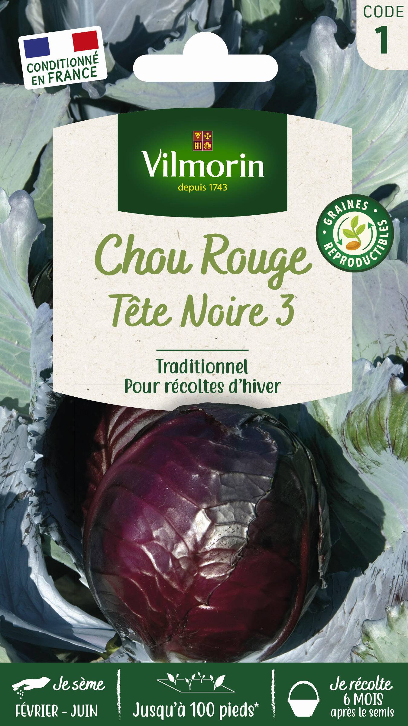 Vilmorin - Chou rouge tête noire 3 série 1 sachet graines 2 g - Vilmorin - Image 2