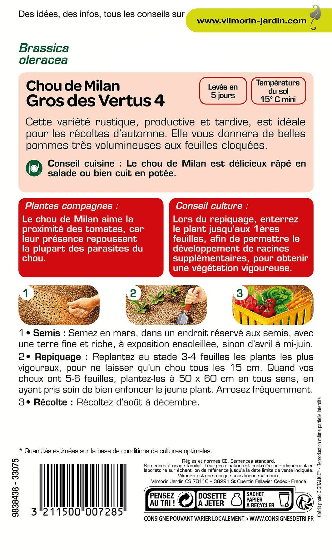 Vilmorin - Chou de Milan gros des vertus série 1 sachet graines 2 g - Vilmorin - Image 3