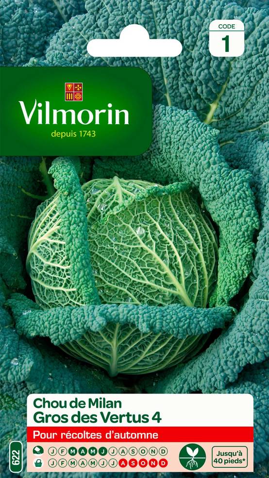 Vilmorin - Chou de Milan gros des vertus série 1 sachet graines 2 g - Vilmorin - Image 1