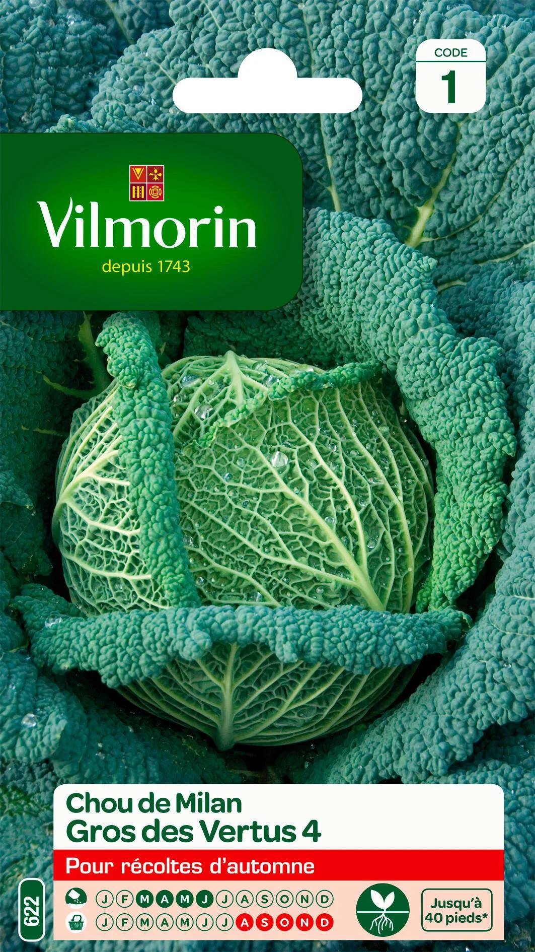 Vilmorin - Chou de Milan gros des vertus série 1 sachet graines 2 g - Vilmorin - Image 1