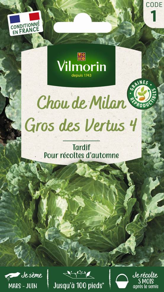 Vilmorin - Chou de Milan gros des vertus série 1 sachet graines 2 g - Vilmorin - Image 2