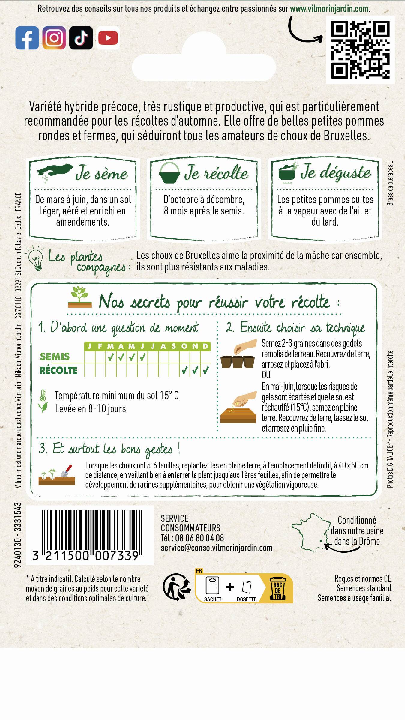 Vilmorin - Sachet de graines de Chou de bruxelles Jade Cross HF1 - Série 3 - 0,8 g - VILMORIN - Image 2