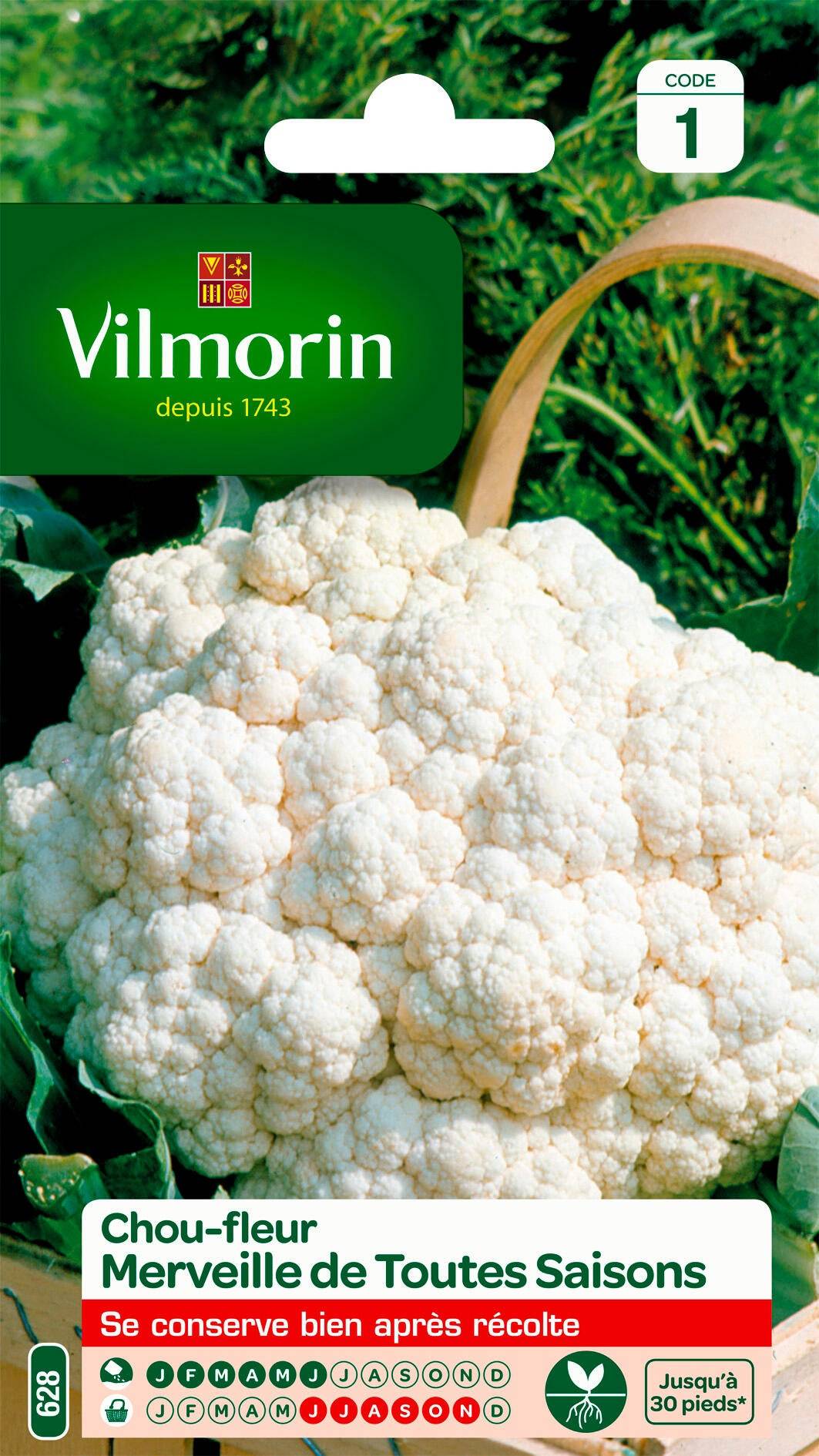 Vilmorin - Chou fleur merveille de toutes saisons série 1 sachet graines 0,8 g - Vilmorin
