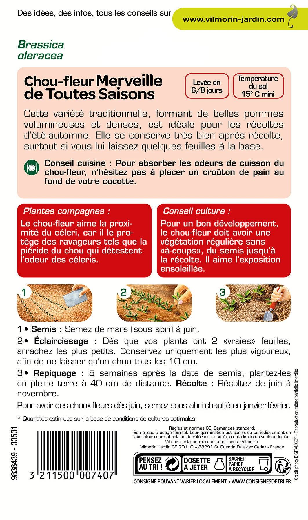 Vilmorin - Chou fleur merveille de toutes saisons série 1 sachet graines 0,8 g - Vilmorin - Image 3